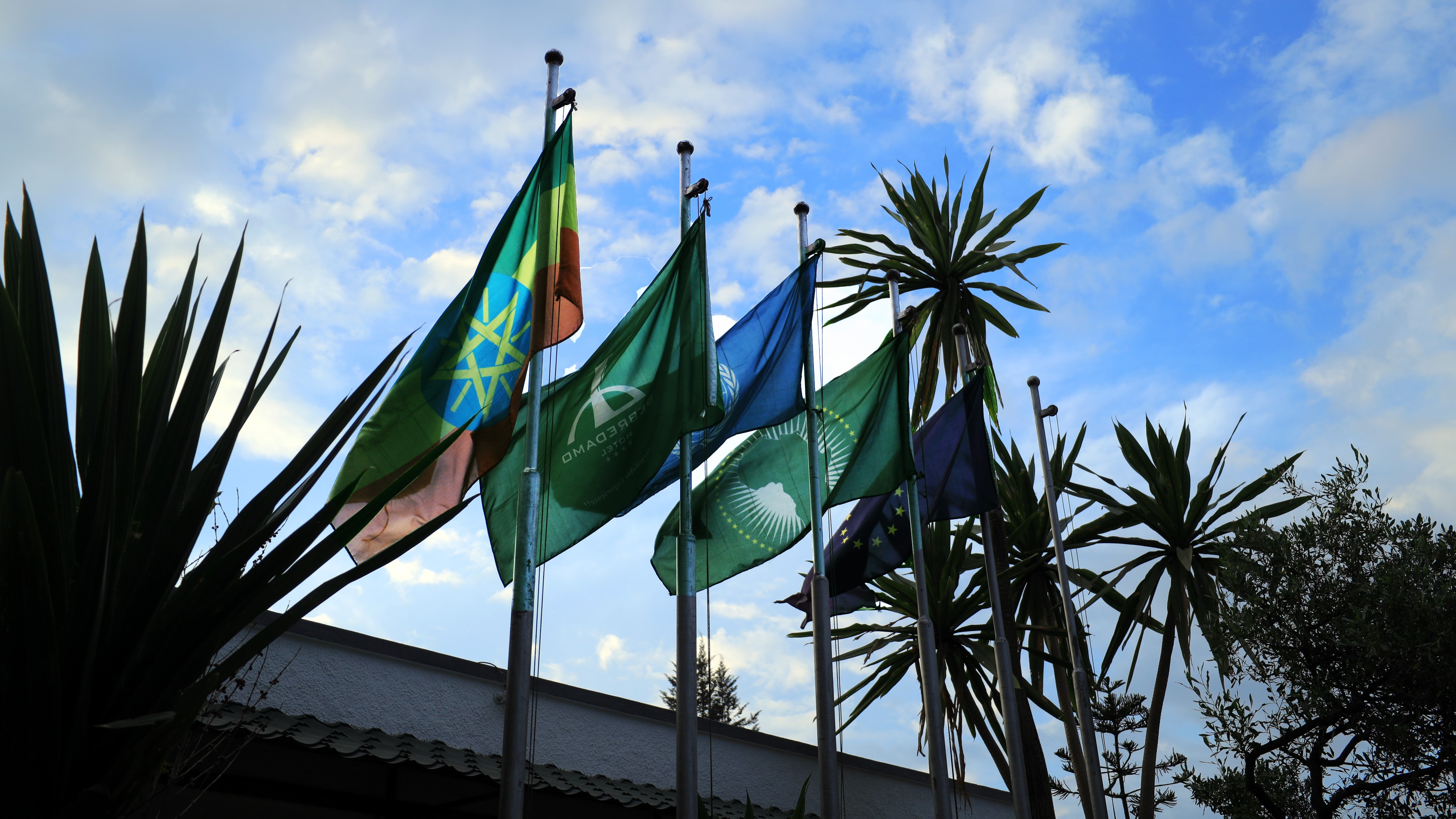 DEBREDAMO HOTEL Premium Suite